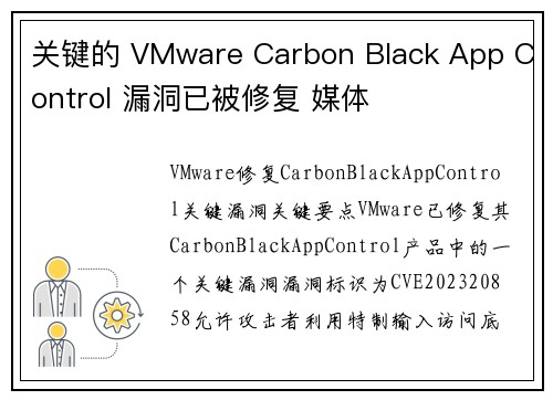 关键的 VMware Carbon Black App Control 漏洞已被修复 媒体