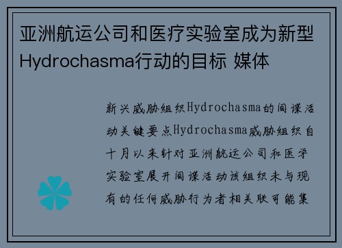 亚洲航运公司和医疗实验室成为新型Hydrochasma行动的目标 媒体